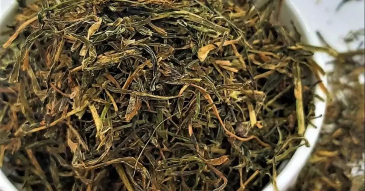 Jimbu Herb in Thakali Food: Flavor, Tradition, and Its Role in Thakali Cuisine